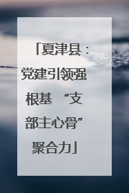 夏津县：党建引领强根基 “支部主心骨”聚合力