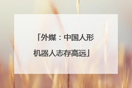 外媒：中国人形机器人志存高远