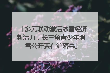 多元联动激活冰雪经济新活力，长三角青少年滑雪公开赛在沪落幕