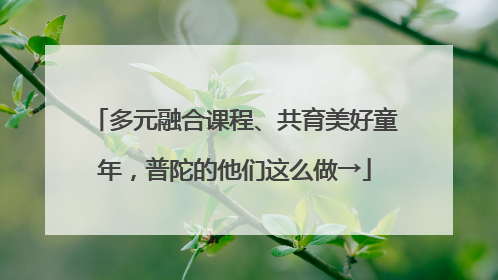 多元融合课程、共育美好童年，普陀的他们这么做→