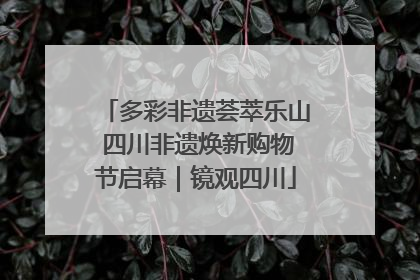 多彩非遗荟萃乐山 四川非遗焕新购物节启幕｜镜观四川