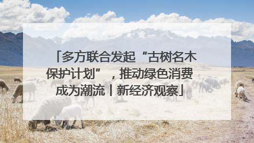 多方联合发起“古树名木保护计划”，推动绿色消费成为潮流丨新经济观察