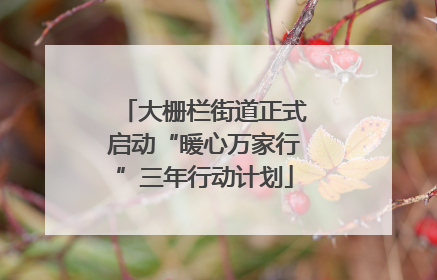 大栅栏街道正式启动“暖心万家行”三年行动计划