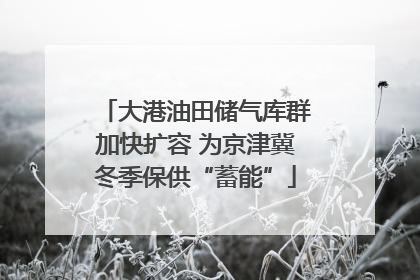 大港油田储气库群加快扩容 为京津冀冬季保供“蓄能”