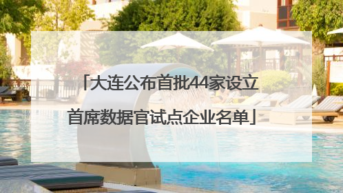 大连公布首批44家设立首席数据官试点企业名单