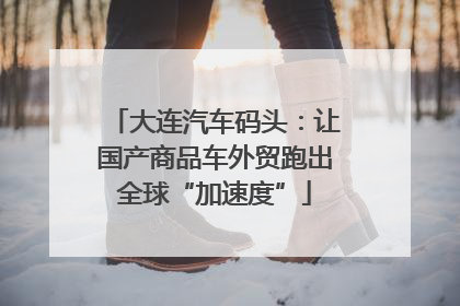 大连汽车码头：让国产商品车外贸跑出全球“加速度”