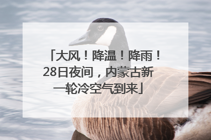 大风！降温！降雨！28日夜间，内蒙古新一轮冷空气到来