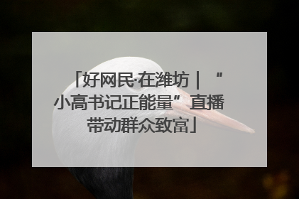 好网民·在潍坊｜“小高书记正能量”直播 带动群众致富