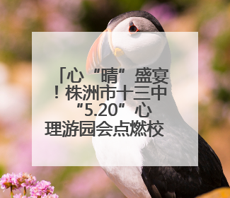 心“晴”盛宴！株洲市十三中“5.20”心理游园会点燃校园正能量