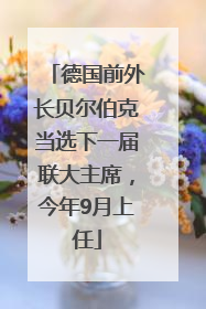 德国前外长贝尔伯克当选下一届联大主席，今年9月上任