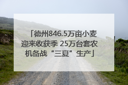 德州846.5万亩小麦迎来收获季 25万台套农机备战“三夏”生产