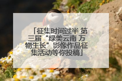 征集时间过半 第三届“绿美云南 万物生长”影像作品征集活动等你投稿