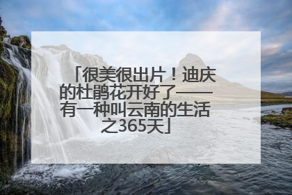 很美很出片！迪庆的杜鹃花开好了——有一种叫云南的生活之365天