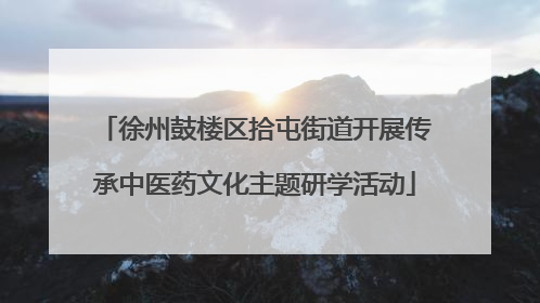 徐州鼓楼区拾屯街道开展传承中医药文化主题研学活动