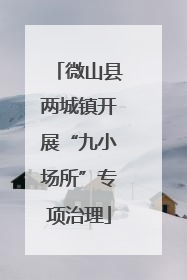 微山县两城镇开展“九小场所”专项治理