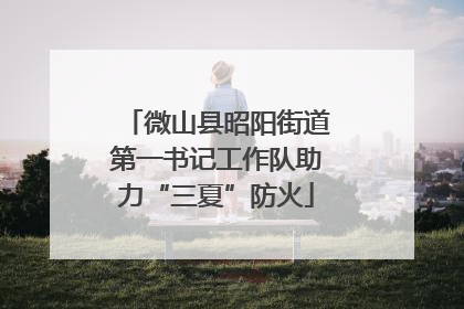 微山县昭阳街道第一书记工作队助力“三夏”防火