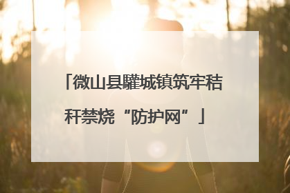 微山县驩城镇筑牢秸秆禁烧“防护网”
