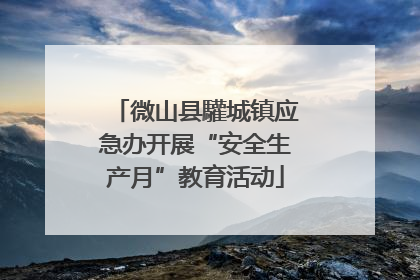 微山县驩城镇应急办开展“安全生产月”教育活动