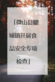 微山县驩城镇开展食品安全专项检查