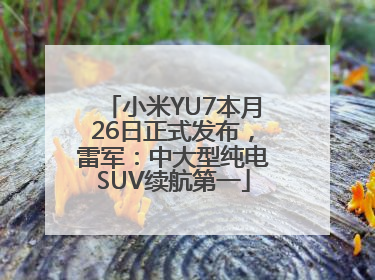 小米YU7本月26日正式发布，雷军：中大型纯电SUV续航第一