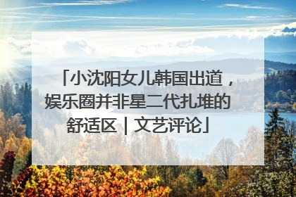 小沈阳女儿韩国出道，娱乐圈并非星二代扎堆的舒适区｜文艺评论