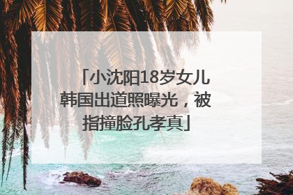 小沈阳18岁女儿韩国出道照曝光，被指撞脸孔孝真