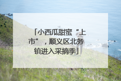 小西瓜甜蜜“上市”，顺义区北务镇进入采摘季