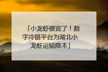 小龙虾便宜了！数字冷链平台为湖北小龙虾运输降本