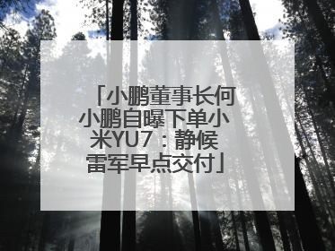 小鹏董事长何小鹏自曝下单小米YU7：静候雷军早点交付
