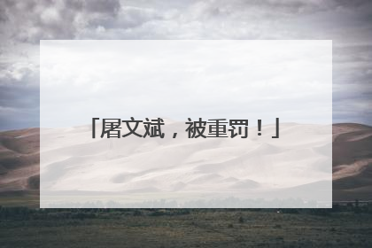 屠文斌，被重罚！