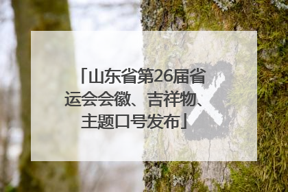 山东省第26届省运会会徽、吉祥物、主题口号发布
