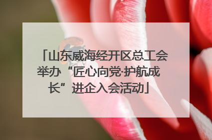 山东威海经开区总工会举办“匠心向党·护航成长”进企入会活动