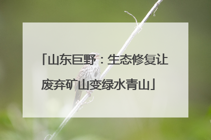山东巨野：生态修复让废弃矿山变绿水青山