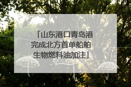 山东港口青岛港完成北方首单船舶生物燃料油加注