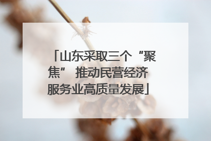 山东采取三个“聚焦” 推动民营经济服务业高质量发展