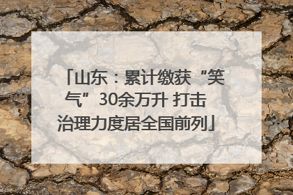山东：累计缴获“笑气”30余万升 打击治理力度居全国前列