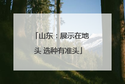 山东：展示在地头 选种有准头