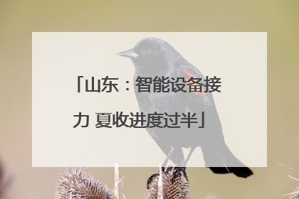 山东：智能设备接力 夏收进度过半
