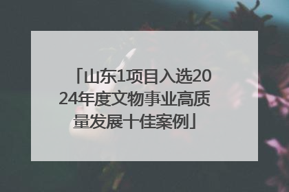 山东1项目入选2024年度文物事业高质量发展十佳案例