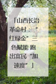 山西长治革命村：“红绿金”三色赋能 跑出富民“加速度”