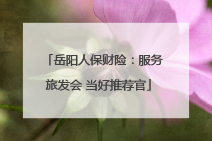 岳阳人保财险：服务旅发会 当好推荐官