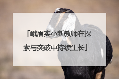 峨眉实小新教师在探索与突破中持续生长