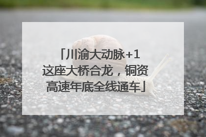 川渝大动脉+1 这座大桥合龙，铜资高速年底全线通车