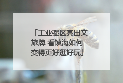 工业强区亮出文旅牌 看镇海如何变得更好逛好玩