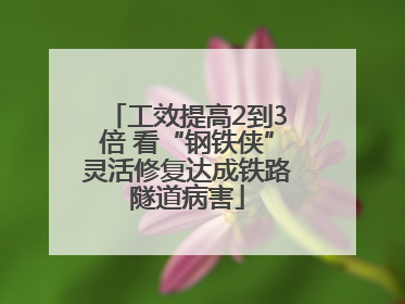 工效提高2到3倍 看“钢铁侠”灵活修复达成铁路隧道病害