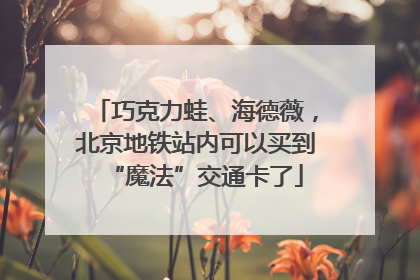 巧克力蛙、海德薇，北京地铁站内可以买到“魔法”交通卡了