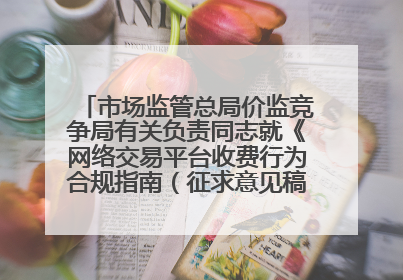 市场监管总局价监竞争局有关负责同志就《网络交易平台收费行为合规指南（征求意见稿）》答记者问