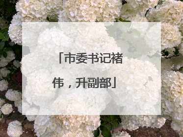 市委书记褚伟，升副部