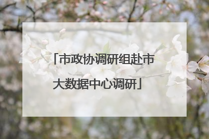 市政协调研组赴市大数据中心调研