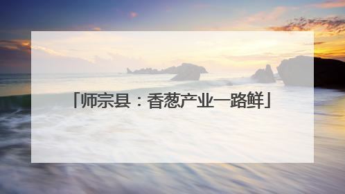 师宗县：香葱产业一路鲜